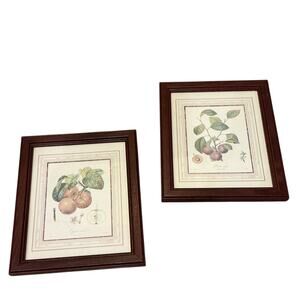 Set of Framed Fruit Prints Farmhouse Kitchen Country Picture Pear Plum Decor
